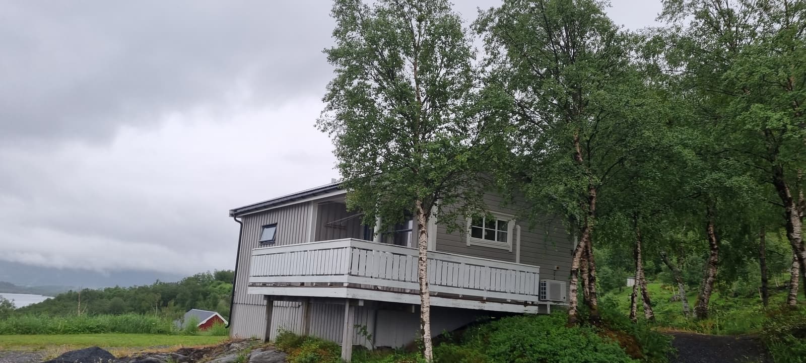 Cabin 7 from outside, with the veranda around the corner and birch trees
