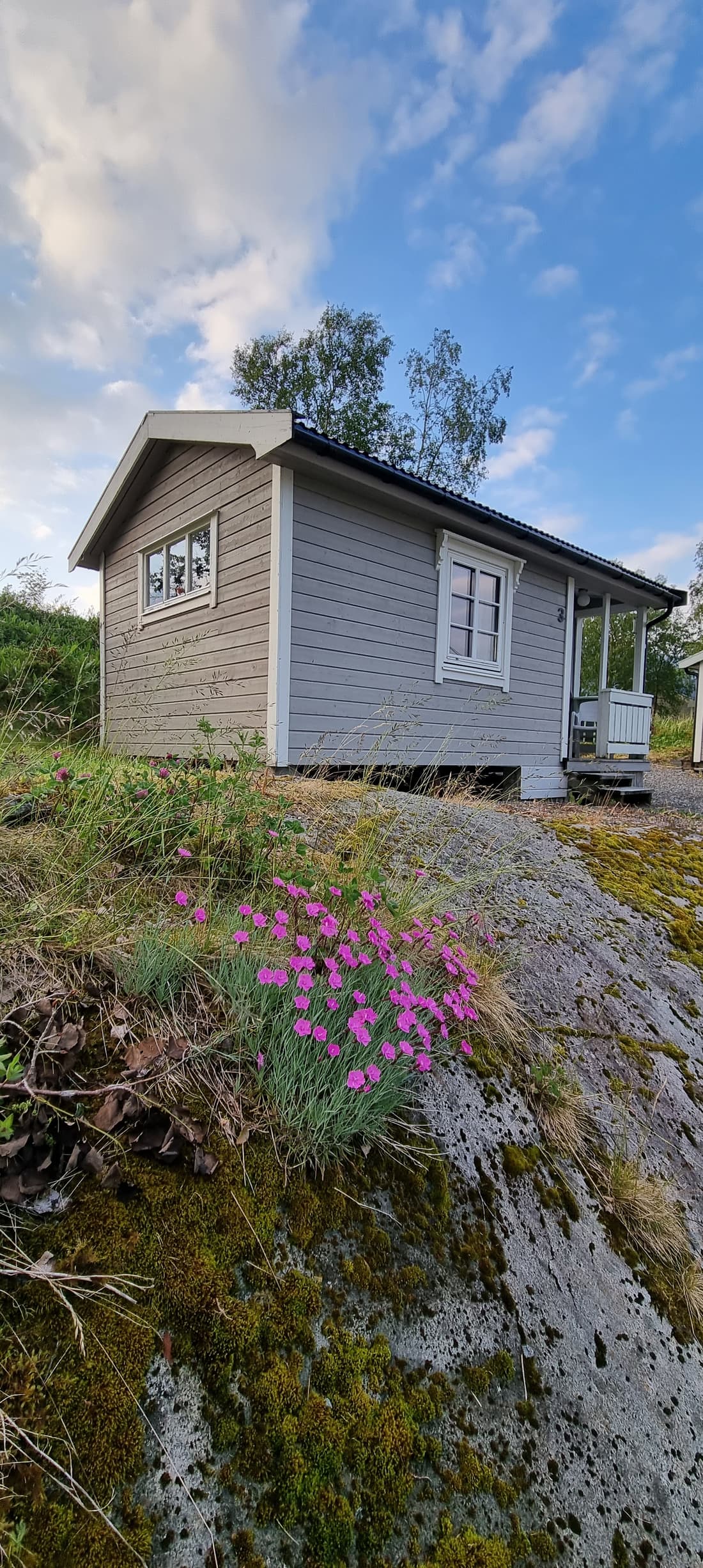 Liten hytte på berget med rosa blomster i forgrunnen